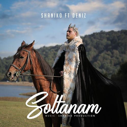 دانلود آهنگ سلطانم شانیکو